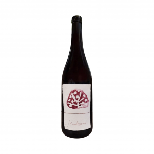 Laborwinery Kadarka 2024