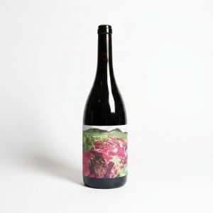 Póta Merlot 2025
